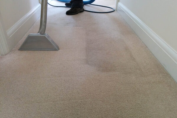 Carpet Cleaning Chichester – Stain Removal & Deep Carpet Cleaning